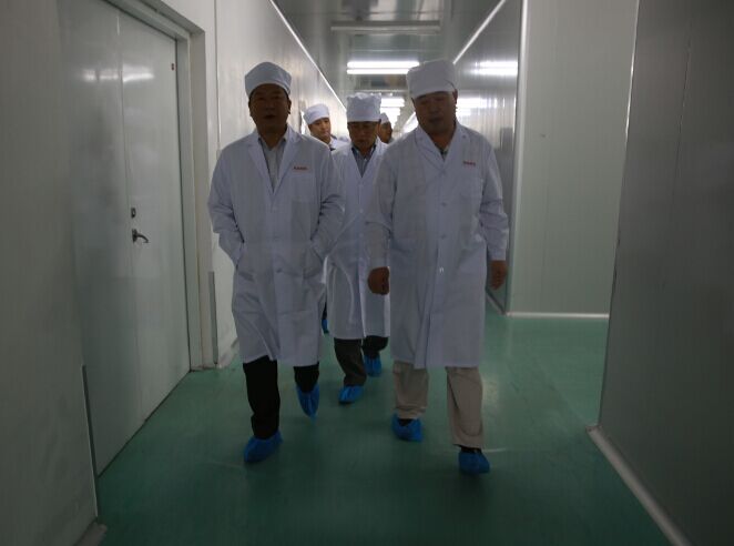 我市部分党代表就在稳增长中如何发挥堡垒作用争当模范先锋来高新区进行视察调研