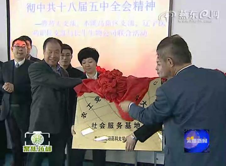 农工党辽宁省科教委在药都开展专题学习实践活动