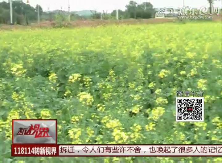 畅游花海 体验别样幸福