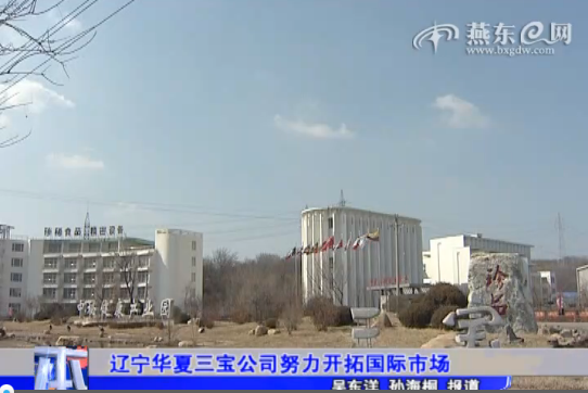 辽宁华夏三宝公司努力开拓国际市场